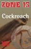 Cockroach (Paperback) - David Orme Photo