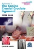 Advances in the Canine Cranial Cruciate Ligament (Hardcover) - Peter Muir Photo