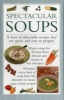 Spectacular Soups (Hardcover) - Valerie Ferguson Photo