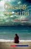 Chasing the Wind - Gr 7 - 12 (Paperback) - Dianne Stewart Photo