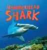 Hammerhead Shark (Paperback) - Camilla De la B edoy ere Photo