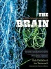 The Brain - Big Bangs, Behaviors, and Beliefs (Paperback) - Rob Desalle Photo