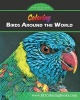 Coloring Birds Around the World (Paperback) - Christopher R Anderson Photo