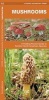 Mushrooms - A Folding Pocket Guide to Familiar North American Species (Pamphlet) - James Kavanagh Photo