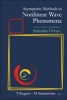 Asymptotic Methods in Nonlinear Wave Phenomena - In Honor of the 65th Birthday of Antonio Greco (Hardcover) - M Sammartino Photo