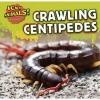 Crawling Centipedes (Paperback) - Celeste Bishop Photo