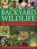 Backyard Wildlife - How to Attract Bees, Butterflies, Insects, Birds, Frogs and Animals into Your Garden (Hardcover) - Christine Lavelle Photo