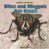 Flies and Maggots Are Gross! (Hardcover) - Leigh Rockwood Photo