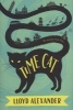 Time Cat - The Remarkable Journeys of Jason and Gareth (Paperback, Square Fish) - Lloyd Alexander Photo