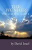 The Wonder of God's Love (Paperback) - David Shepherd Israel Photo