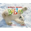 Alaska Animal Babies (Paperback) - Deb Vanasse Photo