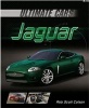 Jaguar (Paperback) - Rob Scott Colson Photo