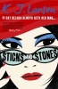 Sticks and Stones (Paperback) - K J Larsen Photo