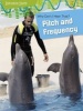 Why Can't I Hear That?: Pitch and Frequency (Paperback) - Louise Spilsbury Photo