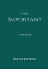 I Am Important Prayer Journal - 1 Peter 2:9, Prayer Journal Notebook with Prompts (Paperback) - Melanie Johnson Photo