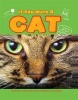 Cat (Paperback, Illustrated edition) - Clare Hibbert Photo