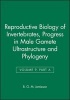 Reproductive Biology of Invertebrates - Progress in Male Gamete Ultrastructure and Phylogeny (Hardcover) - BGM Jamieson Photo