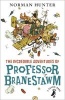 The Incredible Adventures of Professor Branestawm (Paperback) - Norman Hunter Photo