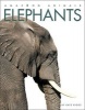 Elephants (Paperback) - Kate Riggs Photo