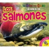 Los Salmones (English, Spanish, Hardcover) - Ruth Daly Photo