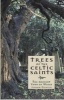 Trees of the Celtic Saints - the Ancient Yews of Wales (Paperback) - Andrew Morton Photo