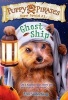 Puppy Pirates Super Special #1 - Ghost Ship (Paperback) - Erin Soderberg Photo