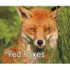 Red Foxes (Hardcover) -  Photo