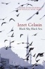 Black Sky, Black Sea (Paperback) - Izzet Celasin Photo