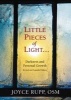 Little Pieces of Light - Darkness and Personal Growth (Paperback) - Joyce Rupp Photo