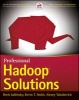 Professional Hadoop Solutions (Paperback) - Boris Lublinsky Photo