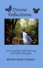 Divine Reflections - Receiving the Real Meaning of Hidden Messages (Paperback) - Michele Novak Stemmer Photo