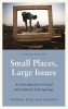 Small Places, Large Issues - An Introduction to Social and Cultural Anthropology (Paperback, 4th Revised edition) - Thomas Hylland Eriksen Photo