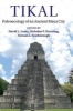 Tikal - Paleoecology of an Ancient Maya City (Hardcover) - David L Lentz Photo