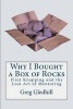 Why I Bought a Box of Rocks - Flint Knapping and the Lost Art of Mentoring (Paperback) - Greg Gledhill Photo