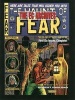 The EC Archives: The Haunt of Fear Volume 1 (Hardcover) - Harvey Kurtzman Photo