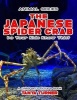 The Japanese Spider Crab Do Your Kids Know This? - A Children's Picture Book (Paperback) - Tanya Turner Photo