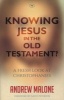 Knowing Jesus in the Old Testament? - A Fresh Look at Christophanies (Paperback) - Andrew S Malone Photo