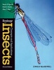 Ecology of Insects - Concepts and Applications (Paperback, 2nd Revised edition) - Martin R Speight Photo