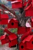 Bunches of Cheerful Red Birdhouses in a Tree Journal - 150 Page Lined Notebook/Diary (Paperback) - Cs Creations Photo