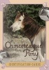 Chincoteague Pony Identification Cards (Cards) - Lois Szymanski Photo