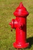 Fire Hydrant Journal (Paperback) - Dibiasio Publications Photo