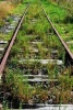 Abandoned Railway Train Tracks Grown Over with Grass - Blank 150 Page Lined Journal for Your Thoughts, Ideas, and Inspiration (Paperback) - Unique Journal Photo