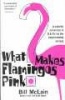 What Makes Flamingos Pink? - A Colorful Collection of Q & A's for the Unquenchably Curious (Paperback) - Bill McLain Photo