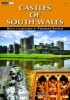 Castles of South Wales (Paperback) - Chris S Stephens Photo