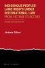 Indigenous Peoples' Land Rights Under International Law - From Victims to Actors (Paperback, 2nd Revised edition) - Jeremie Gilbert Photo