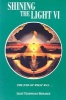 Shining the Light VI (Paperback) - Robert Shapiro Photo