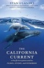 The California Current - A Pacific Ecosystem and its Fliers, Divers, and Swimmers (Hardcover) - Stan L Ulanski Photo