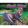 Giant Otter (Hardcover) - Ellen Lawrence Photo