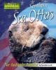 Southern Sea Otters - Fur-Tastrophe Avoided (Hardcover) - Jeanette Leardi Photo