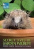 Secret Lives of Garden Wildlife (Paperback) - Dominic Couzens Photo